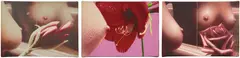 Hilo Chen, Three works: (i) Bathroom 29-Amaryllis-3; (ii) Blossom 19-S-4; (ii) Untitled, 1984, oil on canvas