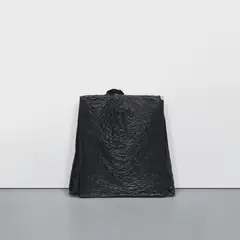 Analia Saban, Trash Bag with Knot, 2012, acrylic on canvas