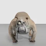 Kiely Jenkins, Spike, 1984, painted papier-mâché with dog collar and chain