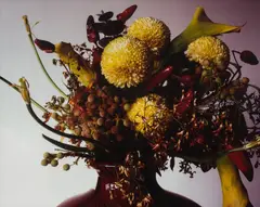 Nobuyoshi Araki, Untitled, 1990, chromogenic print