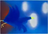 Austin Lee, Blue Bird