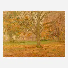 Henry Ryan MacGinnis, Gray Morning