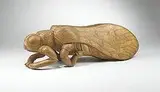 William Kent, Alder Fly (Sialis Flavilatera), 1970s, carved sugar maple