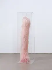 Sylvie Fleury, Deep and Dark (pink), 2004, Straußenfederboa in Acrylglasbox
