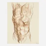 Francisco Zúñiga, Torso de Hombre