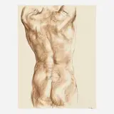Francisco Zúñiga, Torso de Hombre
