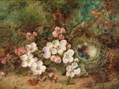 George Clare, Still life of blossom; Still life of fruit, oil on canvas