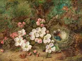 George Clare, Still life of blossom; Still life of fruit, oil on canvas