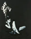 Zbigniew Rogalski, Together 2, 2004, Öl auf Leinwand