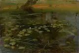 Carl Christian Sparmann, Die weiße Wasserlilie, 1843, Öl auf Papier auf Pappe