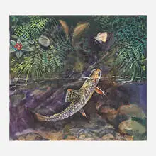 James Prosek, Small Brookie Chasing Moth