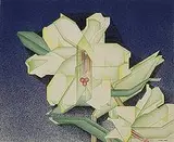 Olinka Hrdy, Lillies, 1937, colored pencil on paper