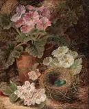 Oliver Clare, Still life of flowers and a bird's nest; Still life of fruit