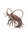 Franz Bergman, large cold painted bronze model of a lobster, cold painted bronze