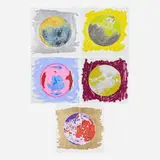 Robert Whitman, Moon Suite