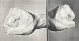Kevin Wolf, Fists, c.1987, graphite on paper