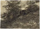 Carl Gustav Carus, Waldstudie
