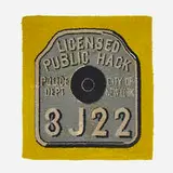 Dorothy Grebenak, Licensed Public Hack