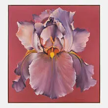 Rose Violet Iris by Lowell Nesbitt, sold Nov 2019