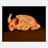 Derrick Guild, Large Chicken, United Kingdom