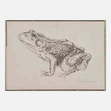 Frog by Don Nice, sold Nov 2019