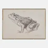 Don Nice, Frog