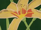 Alex Katz, Day Lilly, 1969, lithograph