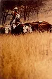 Richard Prince, Untitled (Cowboy), aus der Mappe „Cowboys and Girlfriends