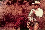 Richard Prince, Untitled (Cowboy), aus der Mappe „Cowboys and Girlfriends