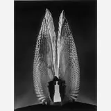 Ruth Bernhard, Angel Wings