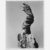 Edward Weston, Stump Against Sky