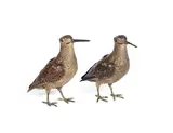 Franz Xaver Bergmann, pair of cold painted bronze models of woodcocks, cold painted bronze