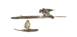 Franz Xaver Bergmann, cold painted bronze model of a bird and a frog on feather base and a similar smaller unmarked cold painted bronze model of a chick, cold painted bronze