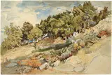 Viktor Paul Mohn, Eichenhain in der Serpentara bei Olevano, 1866, Aquarell, Feder in Braun und Grau über Bleistift auf Papier
