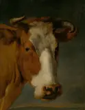 Porträt einer Kuh. Nach 1650 by Nicolaes Pieterszoon Berchem, Öl auf Leinwand. Doubliert auf Holztafel, sold Nov 2019