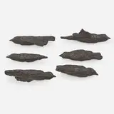 Kiki Smith, Bird
