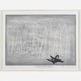 Robert Wilson, The White Raven
