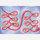 Kenny Scharf, Snake