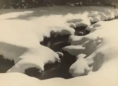 Moorbach im Winter. Vor 1928 by Albert Renger-Patzsch, Vintage. Silbergelatineabzug, sold Dec 2020