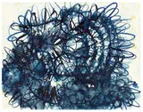 Tony Cragg, Molecular Compositions, 2007, Aquarell auf festem Papier