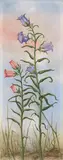 Franz Radziwill, Glockenblumen“. (Vor) 1938, Öl auf Leinwand auf Holz. Im Originalrahmen