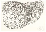 Tony Cragg, Konvolut aus 4 Zeichnungen