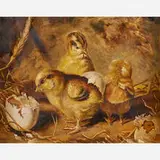Ben Austrian, Chicken's First Thought