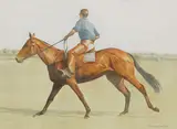 Alan Brassington, Forest, Polo Pony