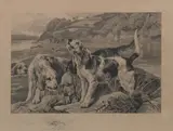 Rba John Sargent Noble, Otter Hounds