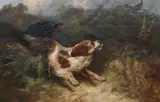 George Armfield, Spaniels Putting up a Snipe