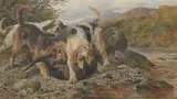 Rba John Sargent Noble, 'Bowled Over' Otter Hounds in Dumfriesshire
