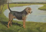 George Paice, 'Druid' & 'Driver' A Brace of Otter Hounds Standing on the Banks of the River Annan