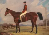 Fred Henderson, Bay Racehorse with Jockey