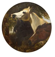 Snr. John Frederick Herring, Study of Three Horse Heads